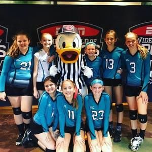 Meet your Posher, Sami