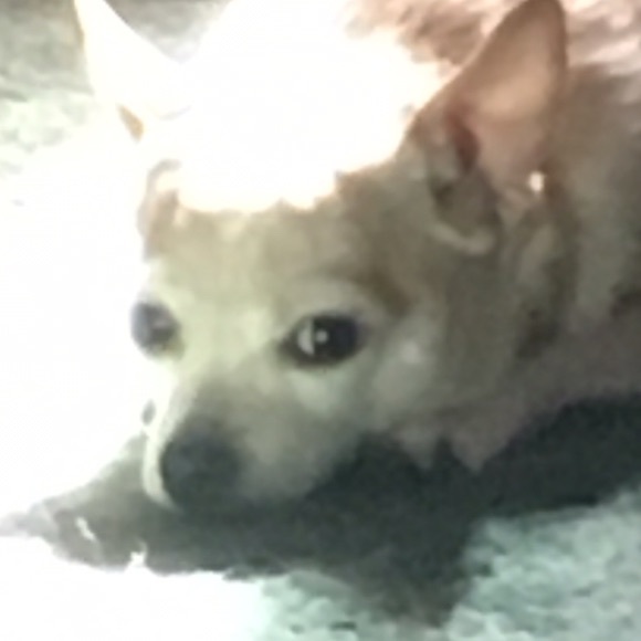 Meet your Posher, Kelly - Picture 1 of 1