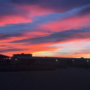 Meet your Posher, Rosemary