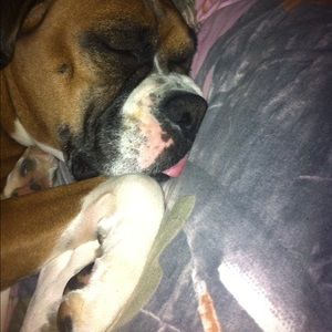 Pink Camo Bed in a Bag 💞