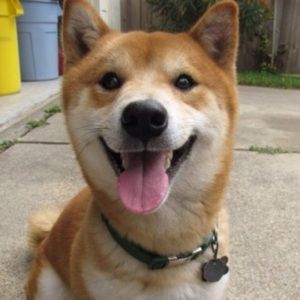 Meet your posher, Janice!