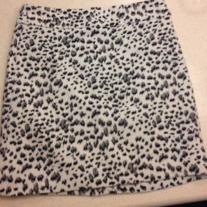 Ann Taylor LOFT Pencil Skirt