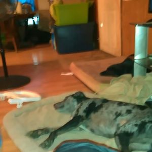 Meet your Posher, Debbie