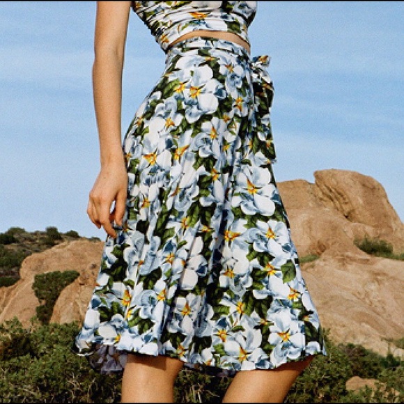 American apparel skirt