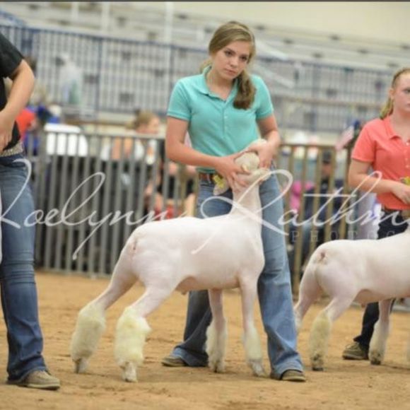 Meet your Posher, Abbey - Picture 1 of 1