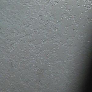 Meet your Posher, Darryl