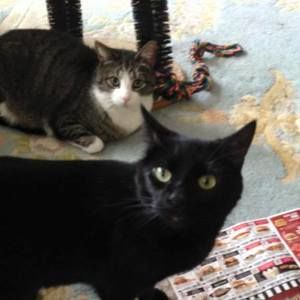 Meet your Posher, Kimla