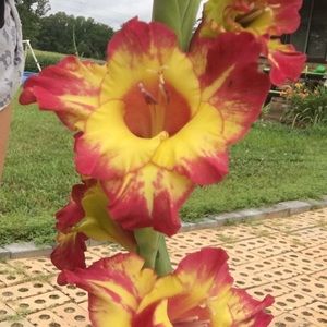 Meet your Posher, Kaytlyn