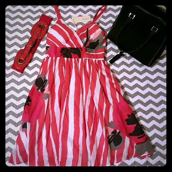 Nwt floral picnic/park dress