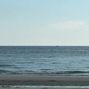 Meet your Posher, Audrey