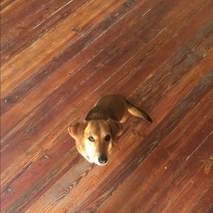 Meet your Posher, Katie