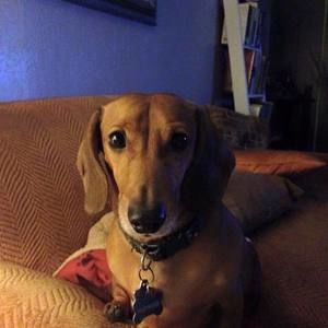 Meet your Posher, Debra