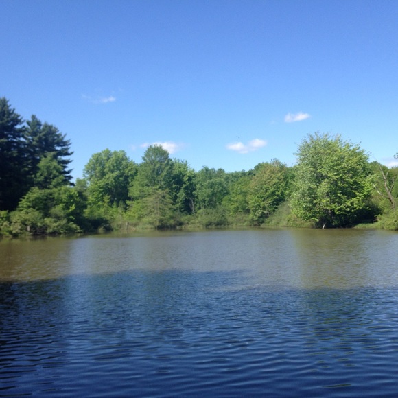 Meet your Posher, Sarah - Picture 1 of 1