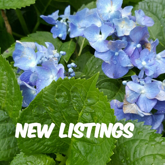 NEW LISTINGS in SuSu49 Closet
