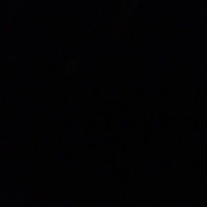 Meet your Posher, Maggie