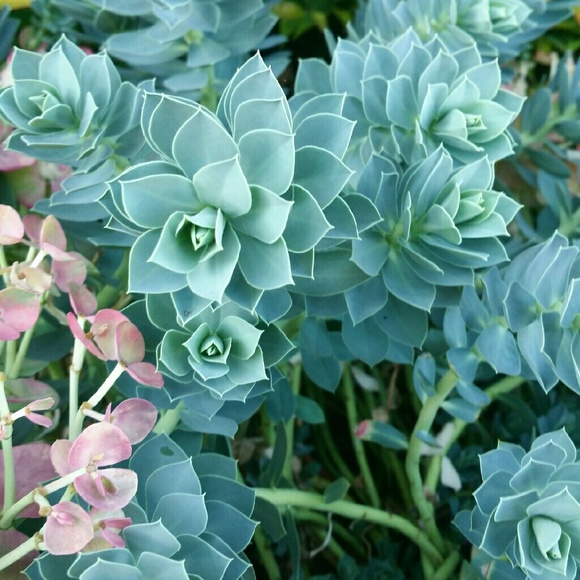 Meet your Posher, Meaghan - Picture 1 of 1