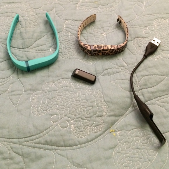 Fitbit Flex