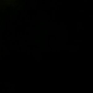 Meet your Posher, Yvonne