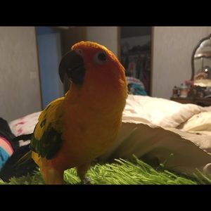 Meet your Posher, Andrea