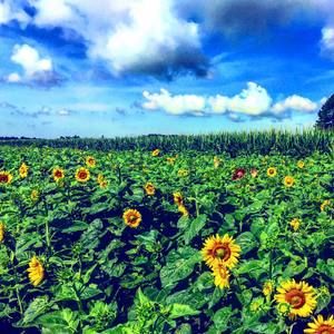 Meet your Posher, Courtney