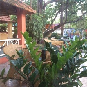 Meet your Posher, Henry