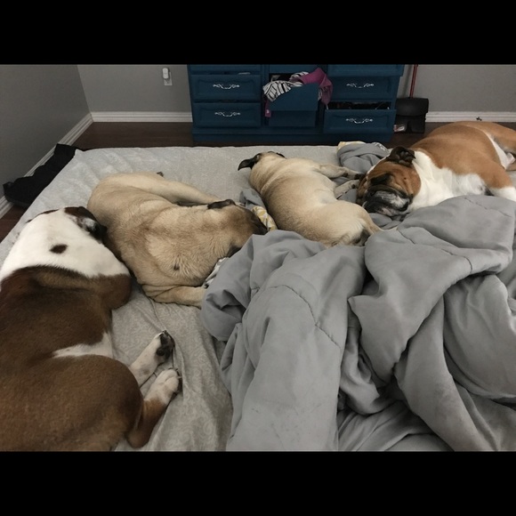 Thank you for being a blessing to my home! 💗 - Picture 5 of 7