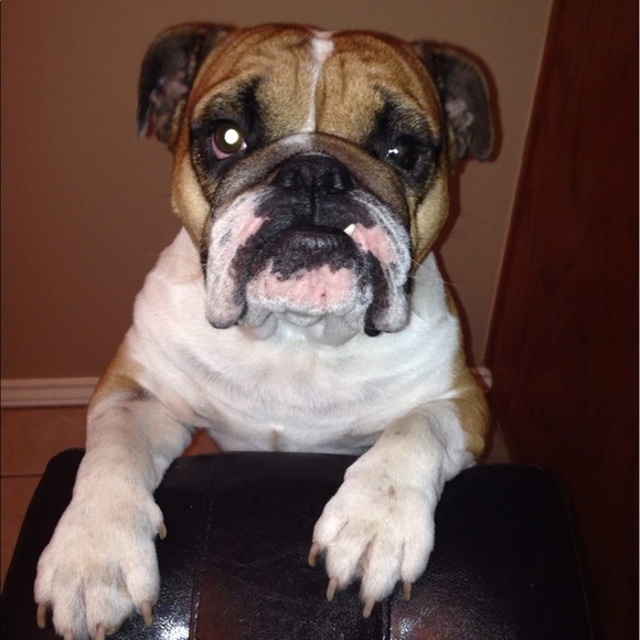 Thank you for being a blessing to my home! 💗 - Picture 6 of 7