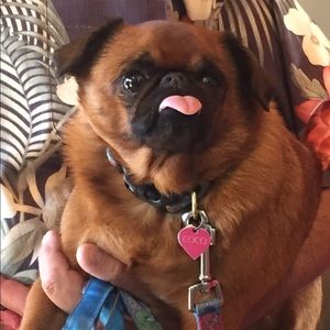 Meet your Posher, Kim