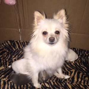 Meet your Posher, Maliah rose