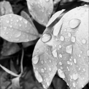 Meet your Posher, Ava