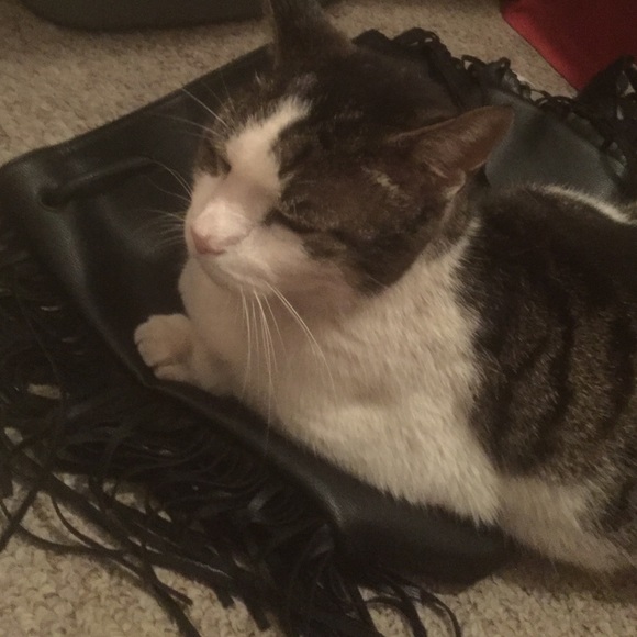 Sold - Picture 2 of 4