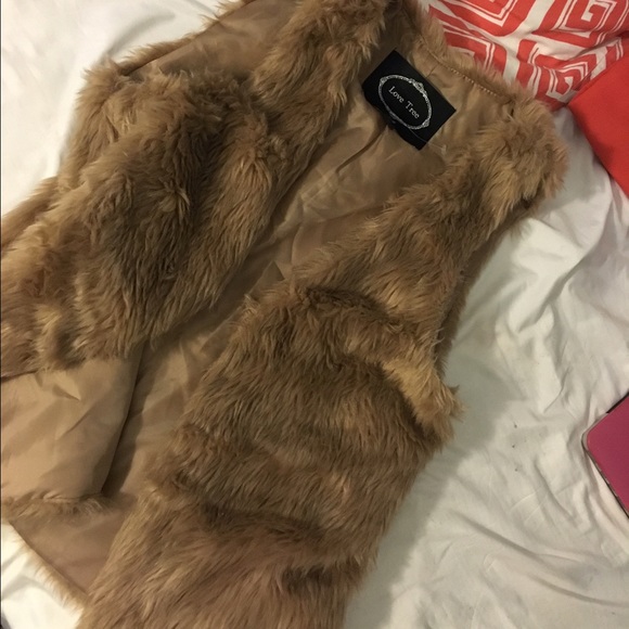 Fur vest