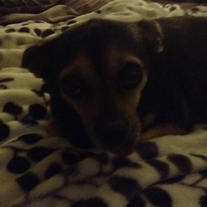 Meet your Posher, Lori