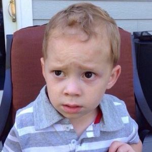 Meet your Posher, Roy