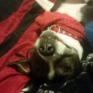 Meet your Posher, Mia