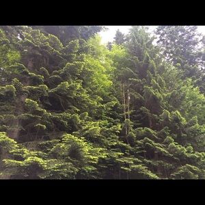 Meet your Posher, Baylee