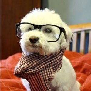 Meet your Posher, Aissa