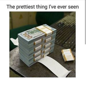 Meet your Posher, Loryn