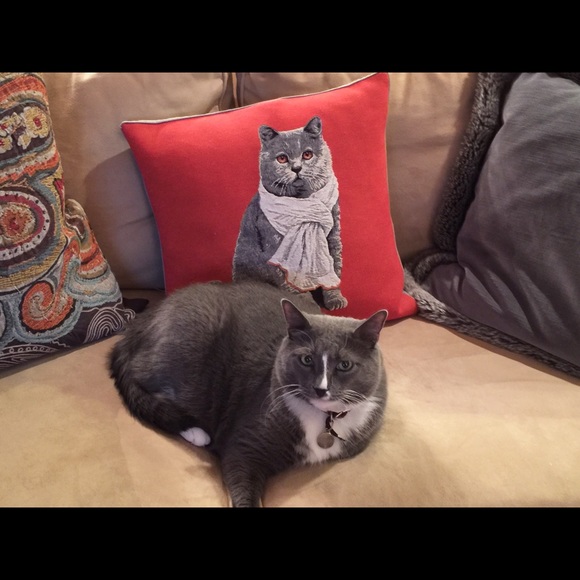 Meet your Posher, Debbie - Picture 2 of 4