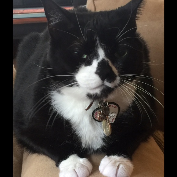 Meet your Posher, Debbie - Picture 3 of 4