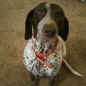 Meet your Posher, Janelle