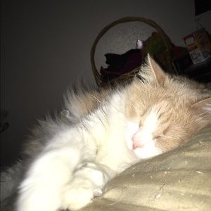 Meet your Posher, Mary