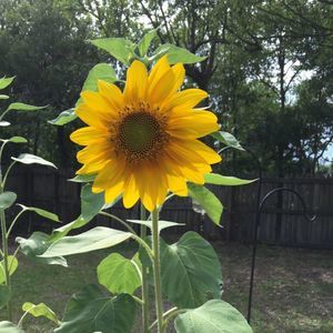 Meet your Posher, Ruth