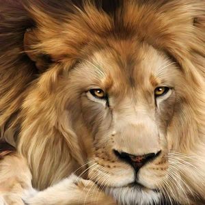 Meet your Posher, Terri