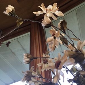 Meet your Posher, Alisa