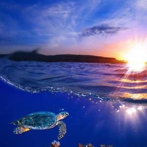 Meet your Posher, Sally