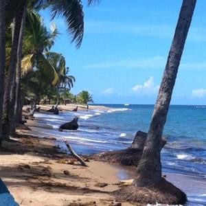 Meet your Posher, Lillian