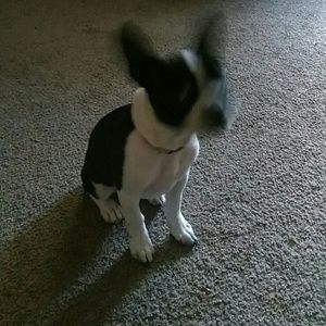 Meet your Posher, Erryn