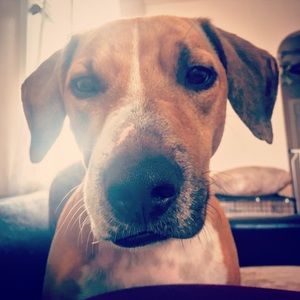 Meet your Posher, Ellen