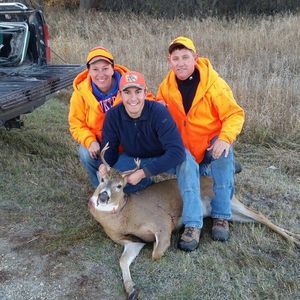 Meet your Posher, Sunnee